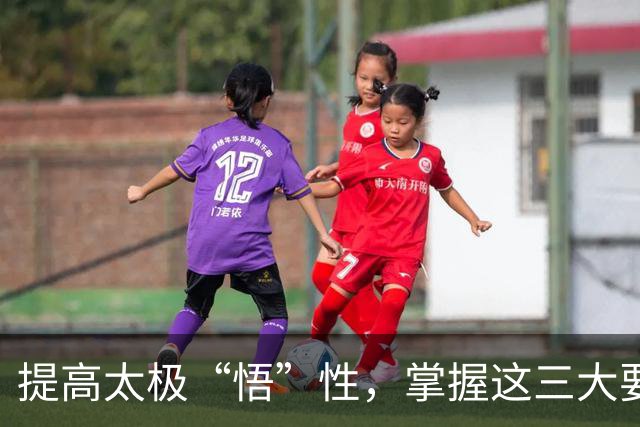 提高太极“悟”性，掌握这三大要素！