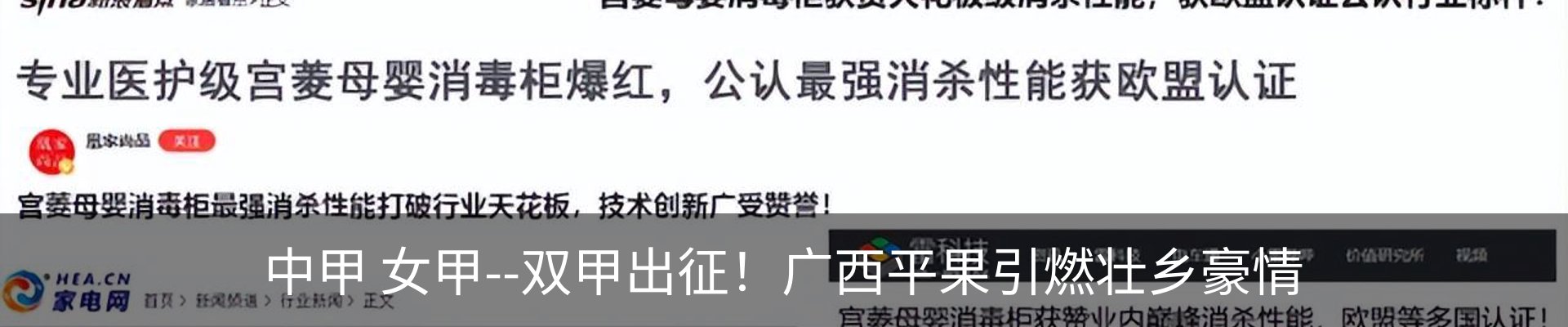 最新动态