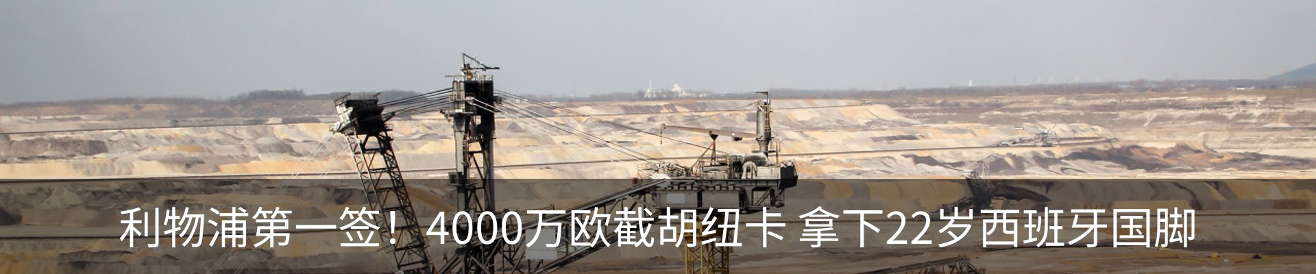 最新动态