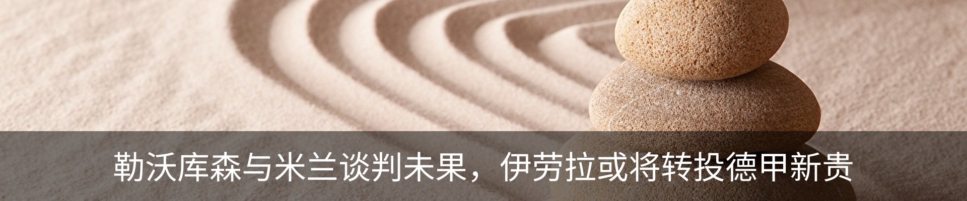 最新动态