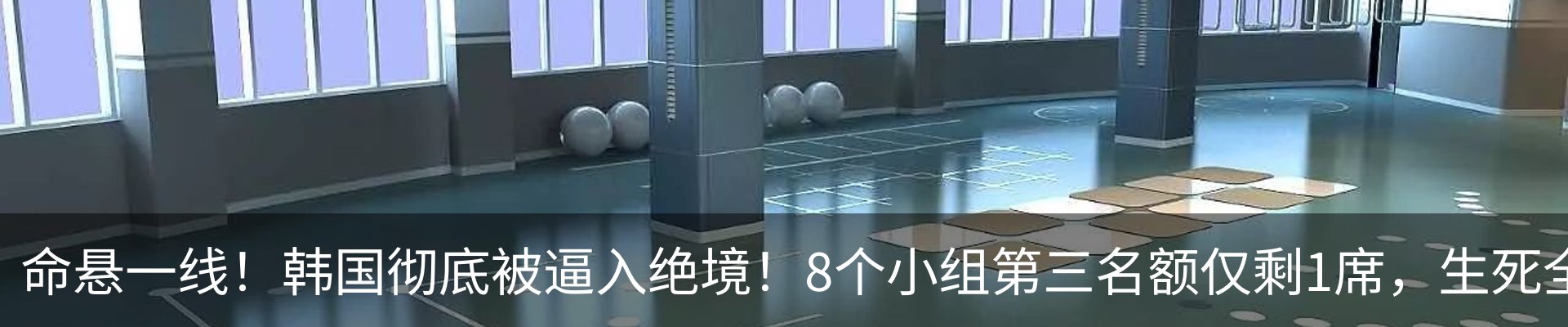 最新动态