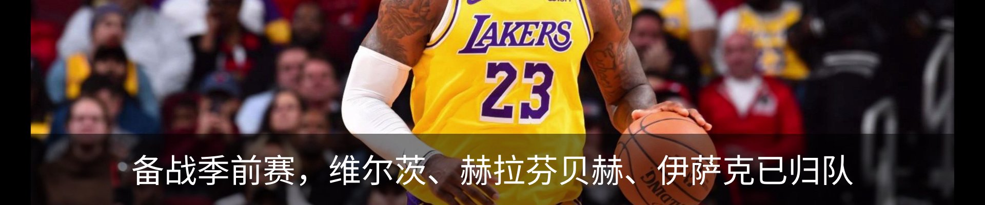 最新动态