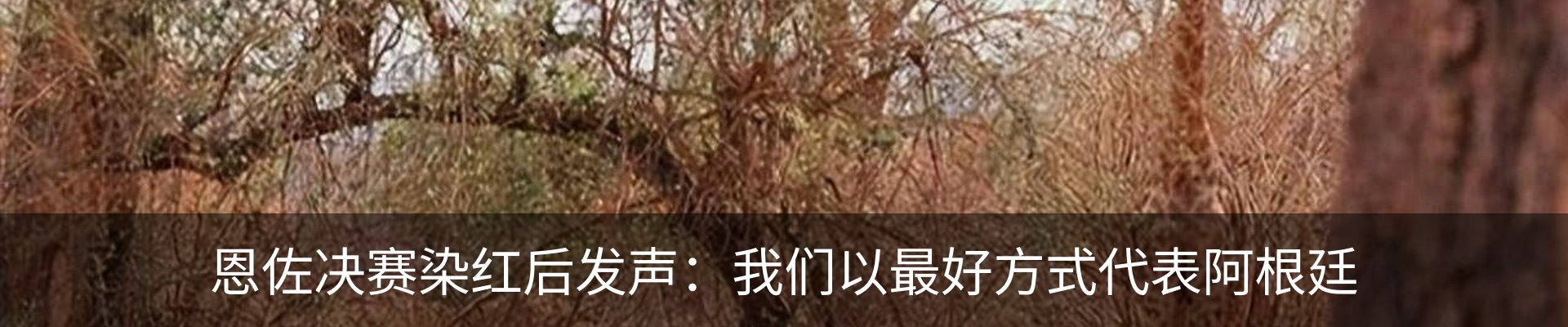 最新动态