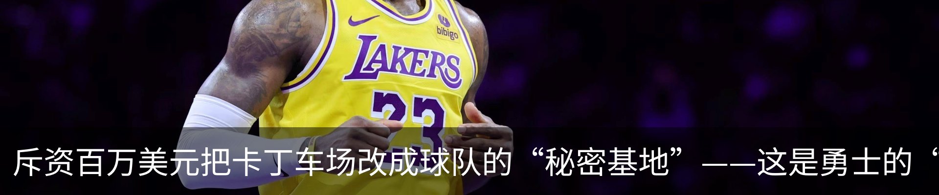 最新动态