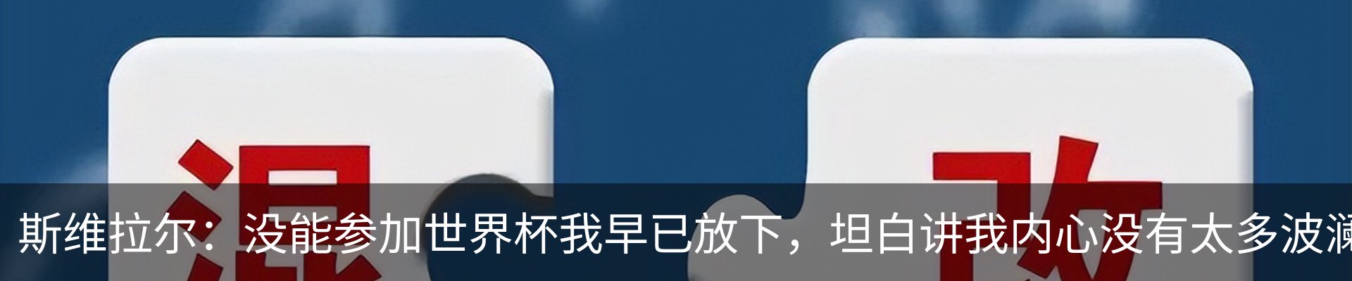 最新动态