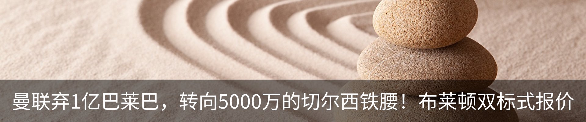 最新动态