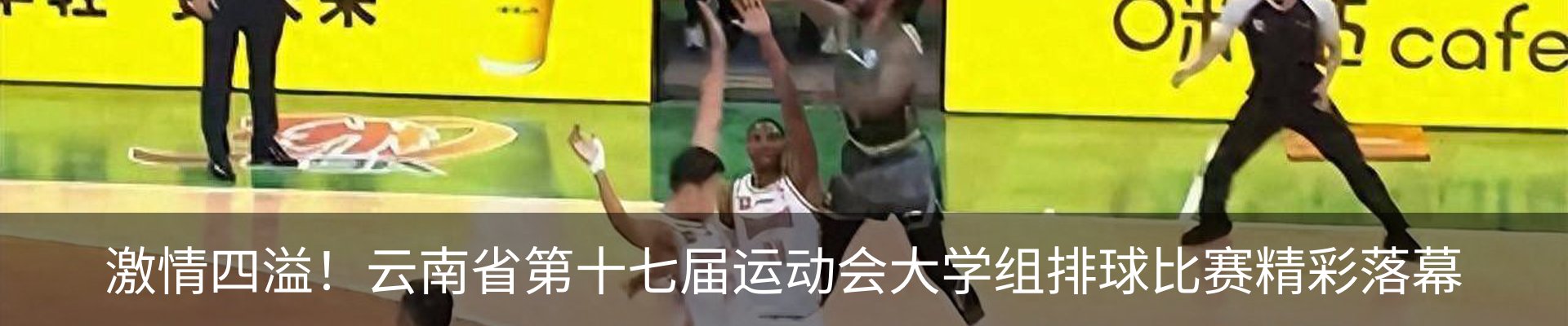 最新动态