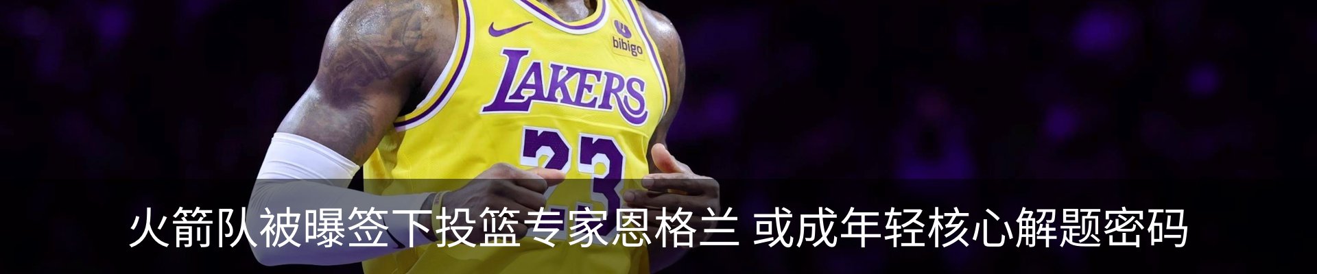 最新动态