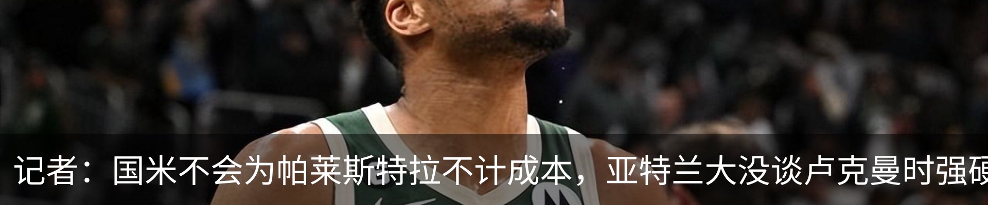 最新动态