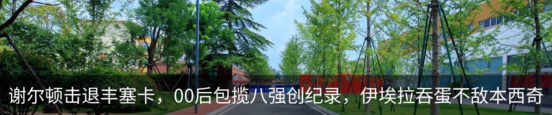 最新动态