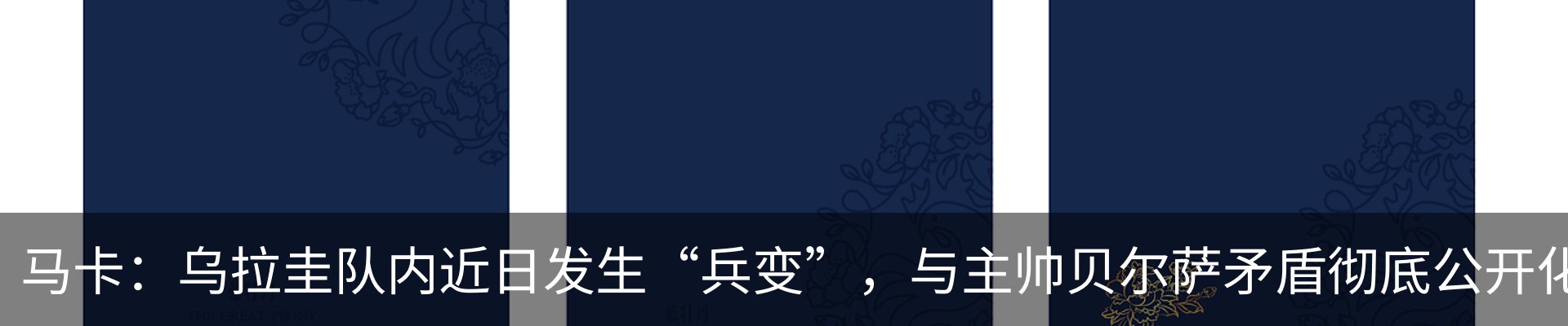 最新动态