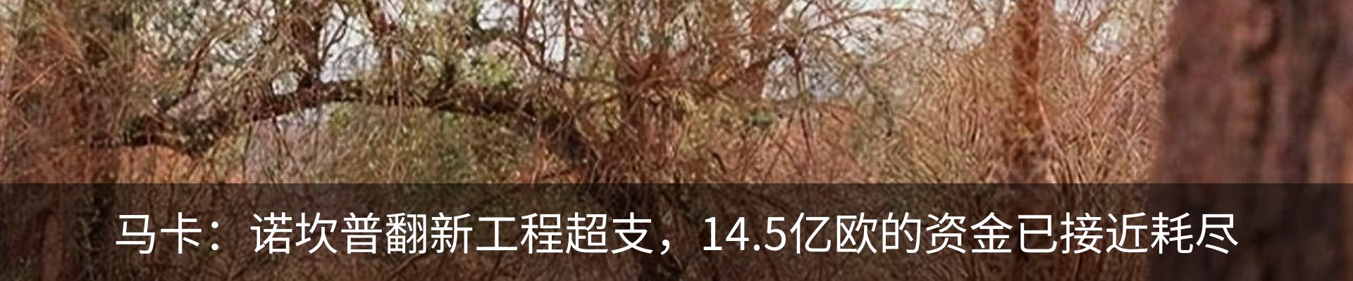 最新动态