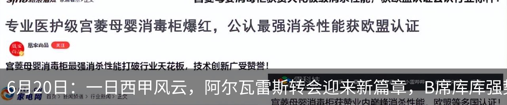 最新动态