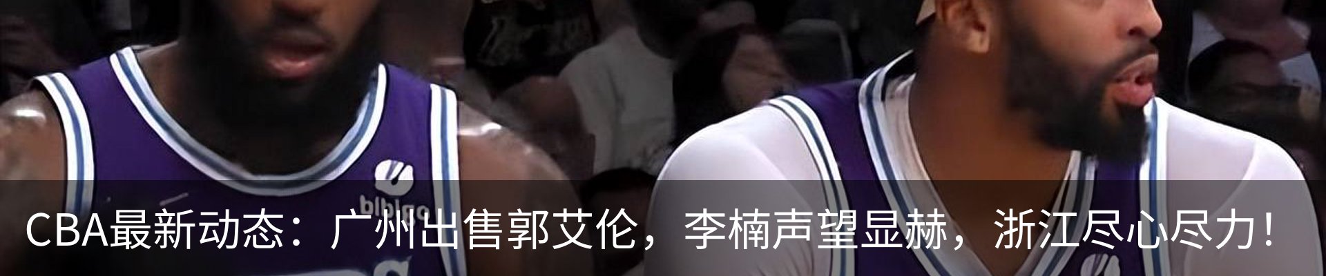 最新动态