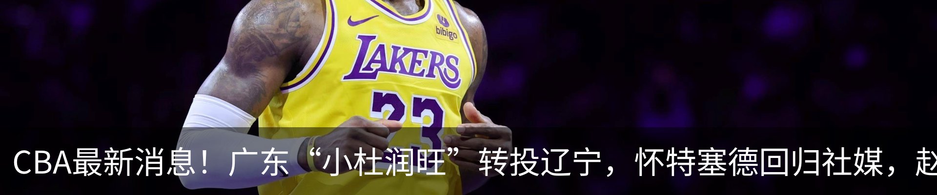 最新动态